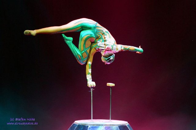 0022Heilbronner Weihnachtscircus2012(c)Stefan Nolte-www.circusphotos.de resized resized